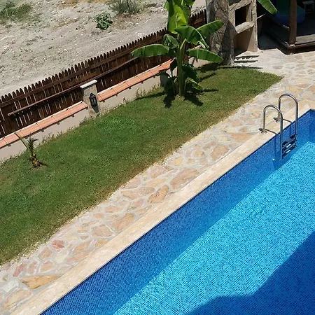 Leyla 达利安
